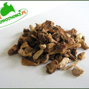 Sarsaparilla - Smilax - Kolcorośl lekarski korzeń - 100g